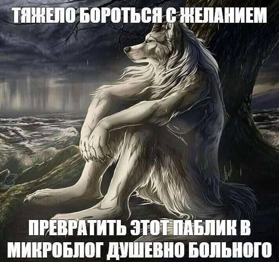 TAMENO БОРОТЬСЯ С ЖЕЛАНИЕМ if ПРЕВРАТИТЬ этот ПАБЛИК В МИКРОБЛОГ ДУШЕВНО БОЛЬНОГО