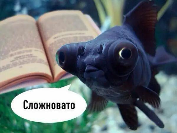 Сложновато