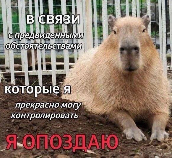 предвиденными обстоятельствами: которые я... прекрасно контролировать