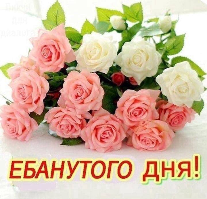У у 4 ЕБАНУТОГО дня!