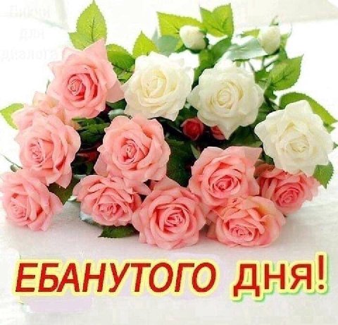 У у 4 ЕБАНУТОГО дня!