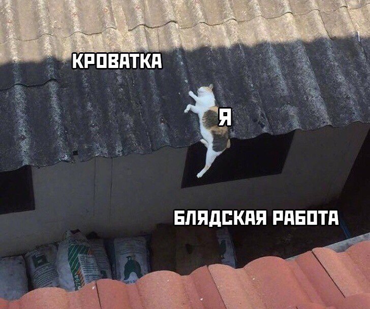 КРОВАТКА БЛЯДСКАЯ РАБОТА