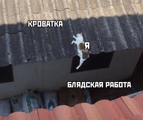 КРОВАТКА БЛЯДСКАЯ РАБОТА