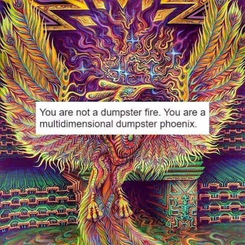 У к You are not a dumpster fire. You are dumpster phoenix.