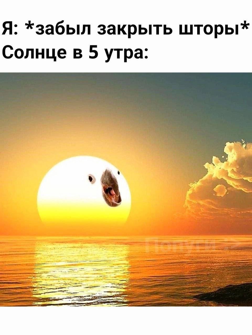 Я: *забыл закрыть шторы* Солнце в 5 утра: