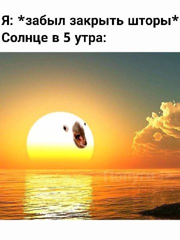 Я: *забыл закрыть шторы* Солнце в 5 утра: