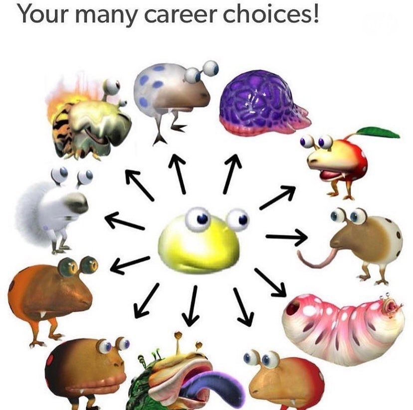 our many career choices!
