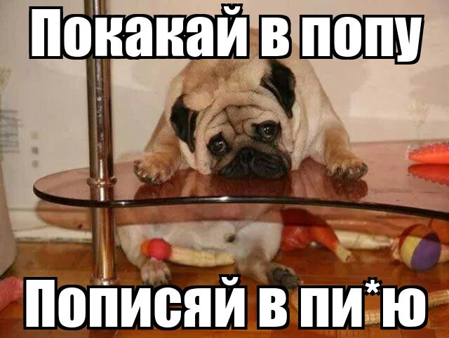 Покакай в попу Пописяй в