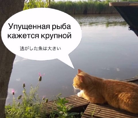 Упущенная рыба кажется крупной WAS