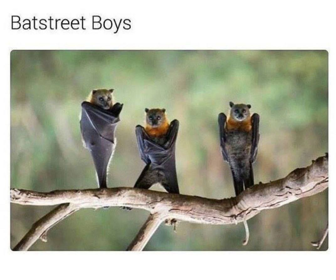 Batstreet Boys i Я