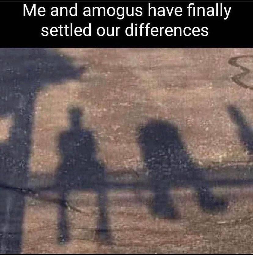 and amogus have finally settled our differences