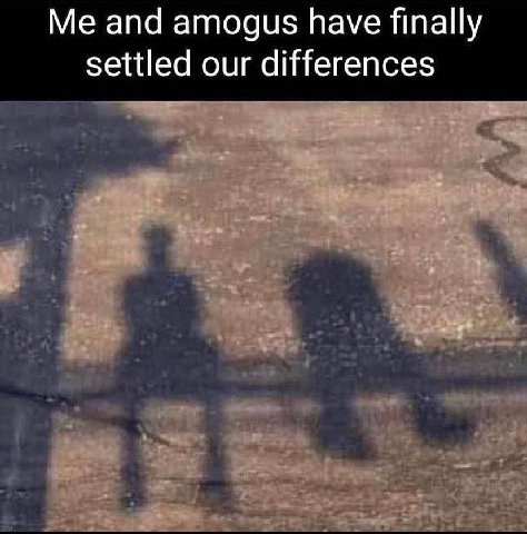 and amogus have finally settled our differences