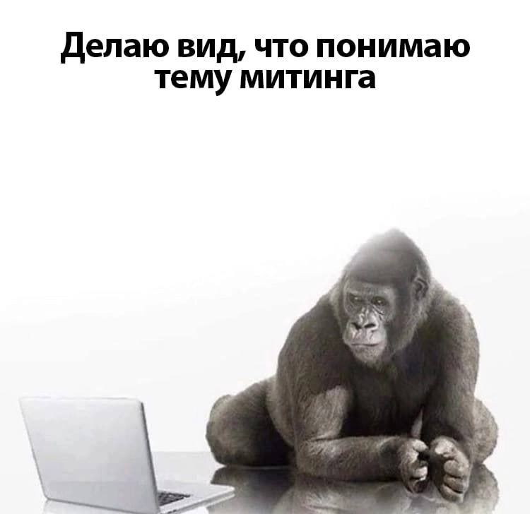 Делаю вид, что понимаю тему митинга