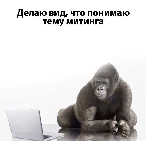 Делаю вид, что понимаю тему митинга