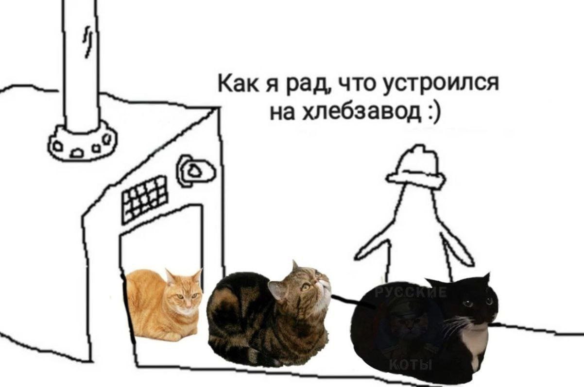 Как я рад, что устроился на хлебзавод бра Wut