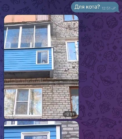 Для кота?