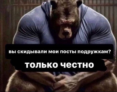 вы скидывали мои посты подружкам? только честно