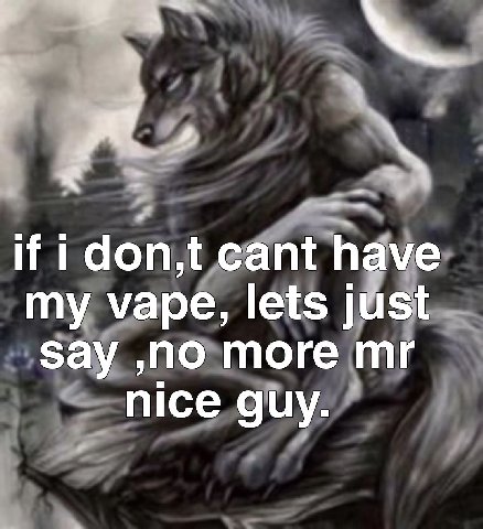 if don,t cant have my vape, lets just say ‚по more nice guy.