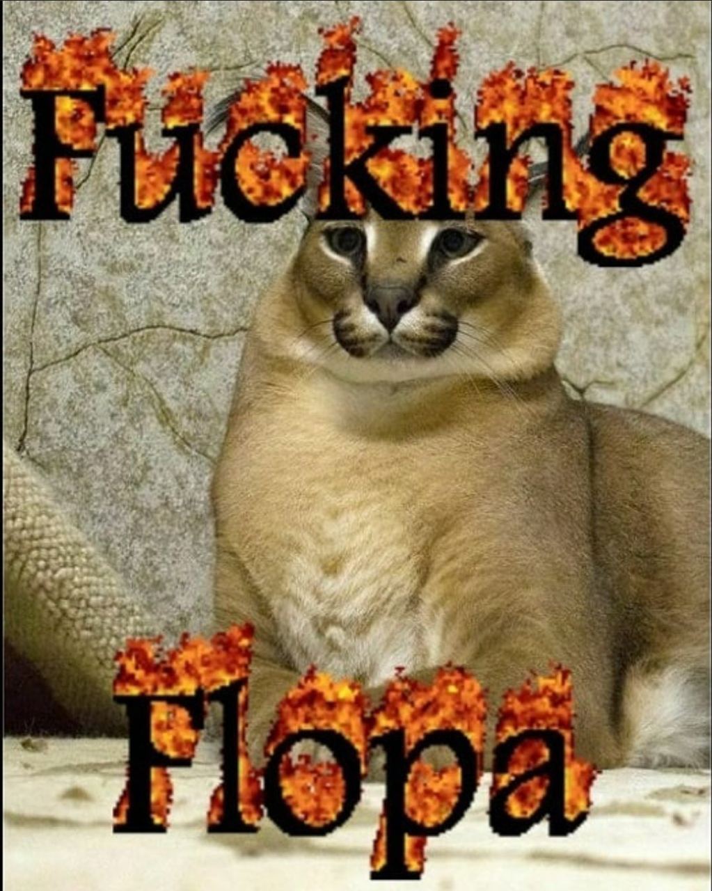 an