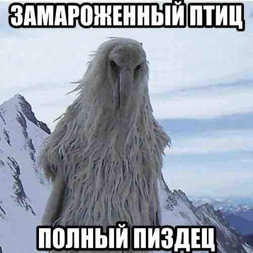 ПОЛНЫЙ ПИЗДЕЦ,