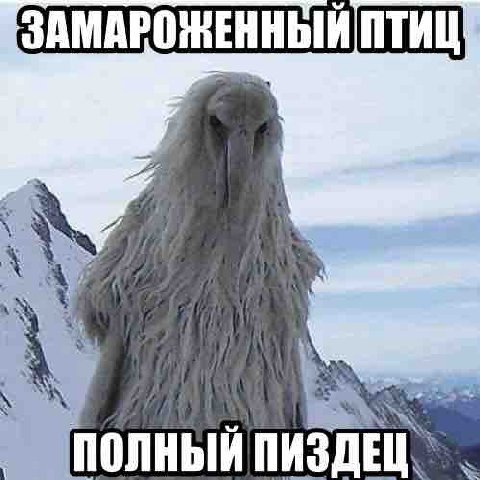 ПОЛНЫЙ ПИЗДЕЦ,