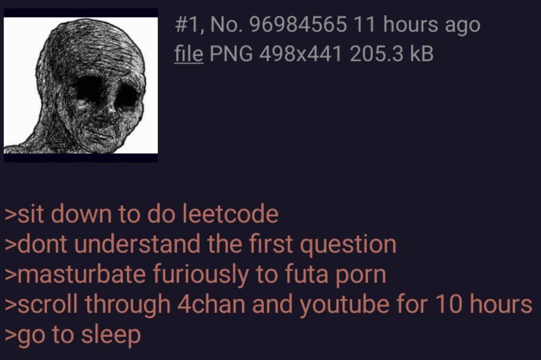 #1, No. 96984565 11 hours ago file PNG 205.3 >sit down to leetcode >dont understand the first question >masturbate furiously to futa porn >scroll through 4chan and youtube for 10 hours to sleep