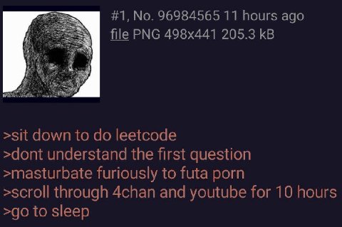 #1, No. 96984565 11 hours ago file PNG 205.3 >sit down to leetcode >dont understand the first question >masturbate furiously to futa porn >scroll through 4chan and youtube for 10 hours to sleep