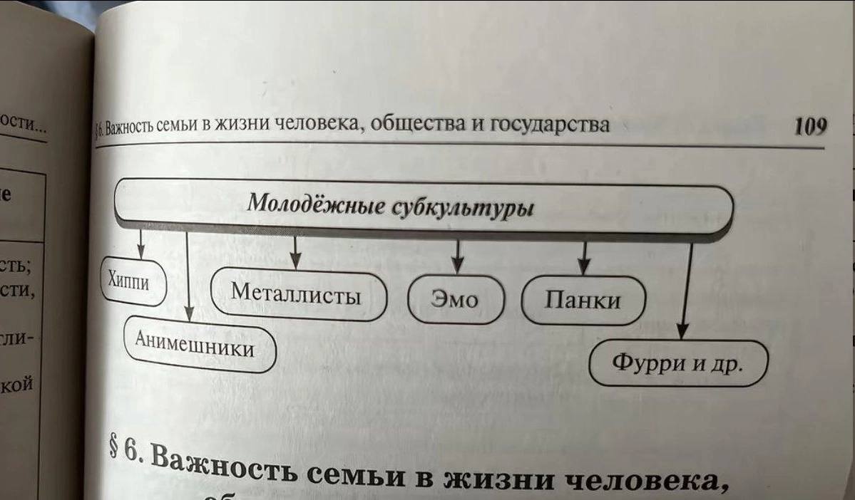 семьи в жизни человека, общества и государства 109 Молодёжные субкультуры В семьи в жизни