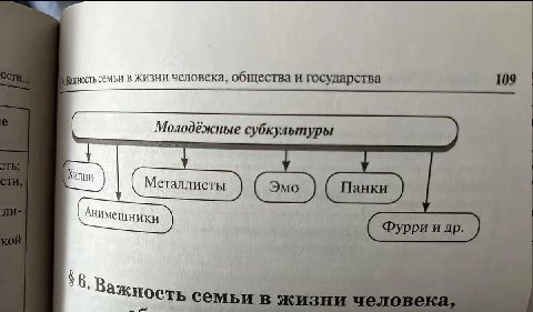 семьи в жизни человека, общества и государства 109 Молодёжные субкультуры В семьи в жизни