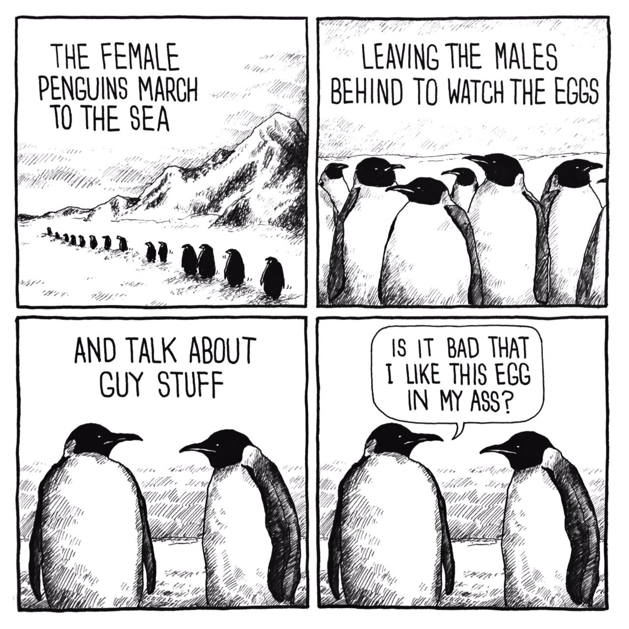 THE FEMALE LEAVING THE MALES PENGUINS MARCH BEHIND ТО WATCH THE THE SEA 1$ 11 BAD THAT AND TALK ABOUT LIKE THIS EGG GUY STUFF IN MY ASS? (A Uff 200 #1 22