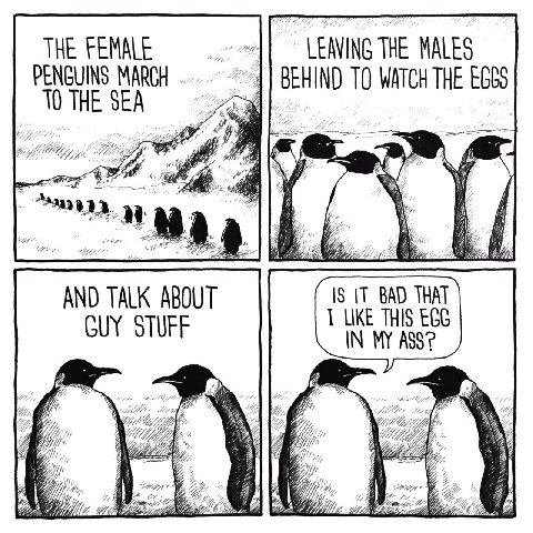 THE FEMALE LEAVING THE MALES PENGUINS MARCH BEHIND ТО WATCH THE THE SEA 1$ 11 BAD THAT AND TALK ABOUT LIKE THIS EGG GUY STUFF IN MY ASS? (A Uff 200 #1 22
