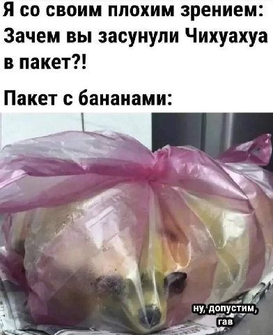 Я своим плохим зрением: Зачем вы засунули Чихуахуа в пакет?! Пакет с бананами: 3 ну, допустим,