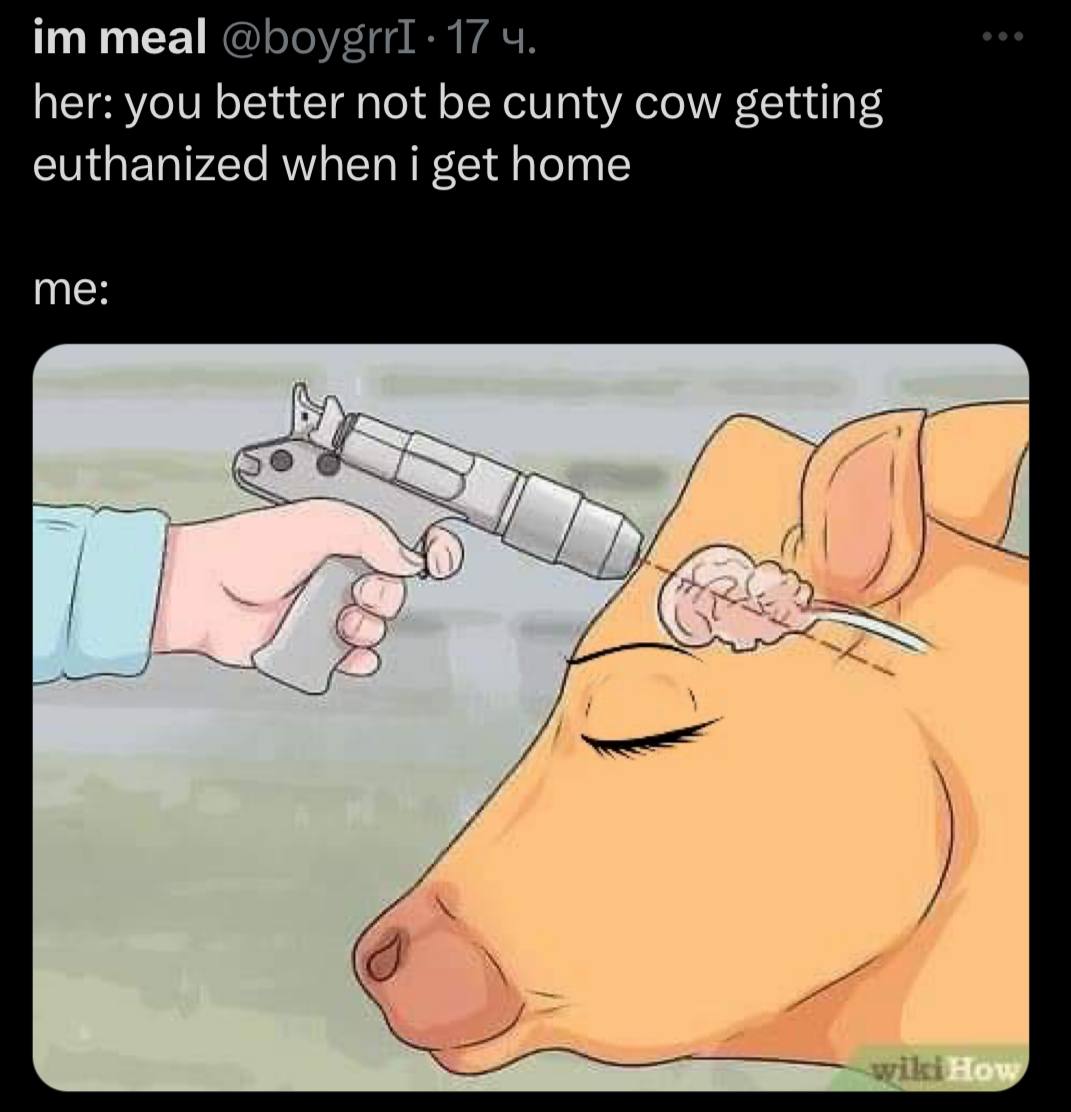 meal 17 her: you better not be cunty cow getting euthanized when i get home me