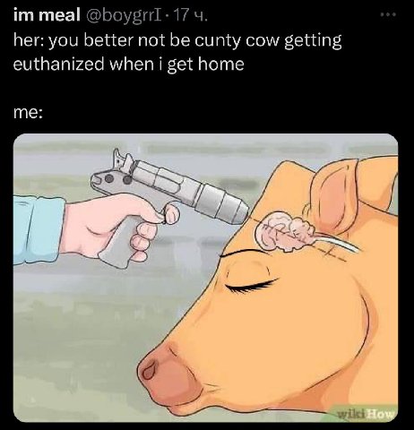 meal 17 her: you better not be cunty cow getting euthanized when i get home me