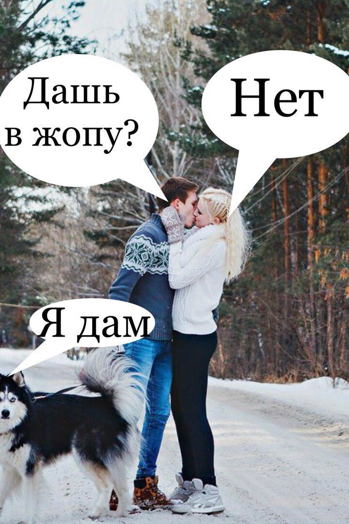 Дашь Нет в жопу a да