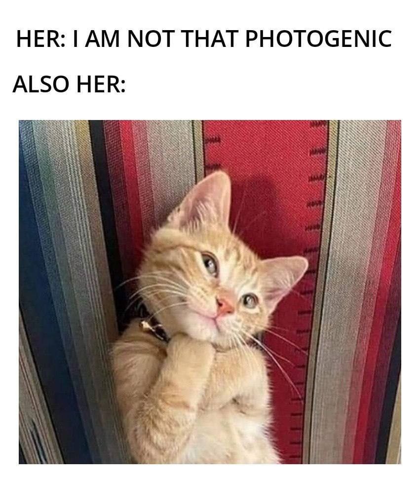 НЕК: NOT THAT PHOTOGENIC ALSO НЕК: А