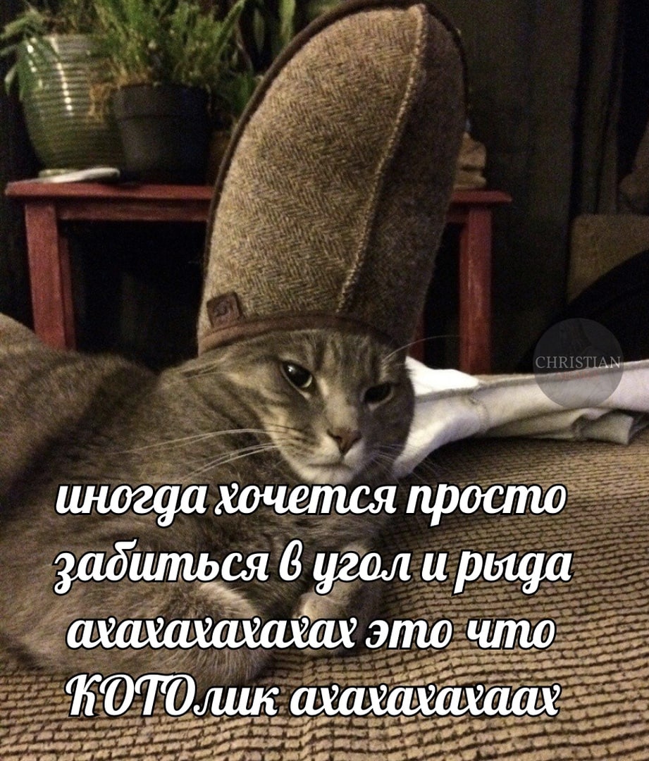иногда хочется просто забиться 6 угол и рыца ахахахахсхах это что ахахахахаах