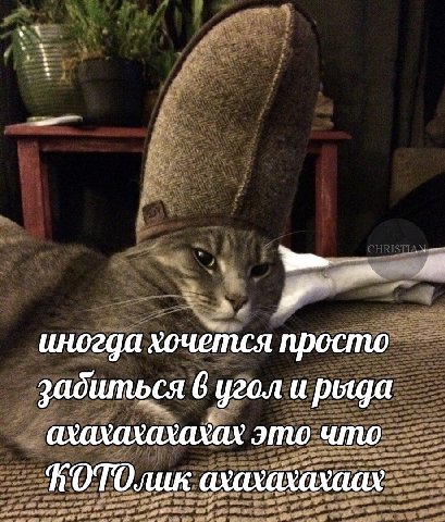 иногда хочется просто забиться 6 угол и рыца ахахахахсхах это что ахахахахаах