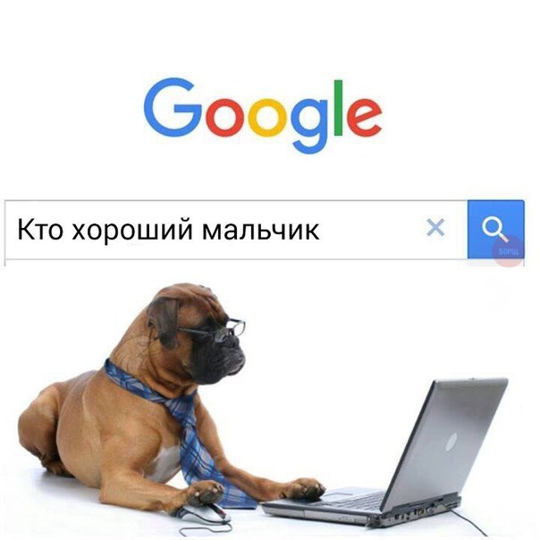 Google Кто хороший мальчик 4.