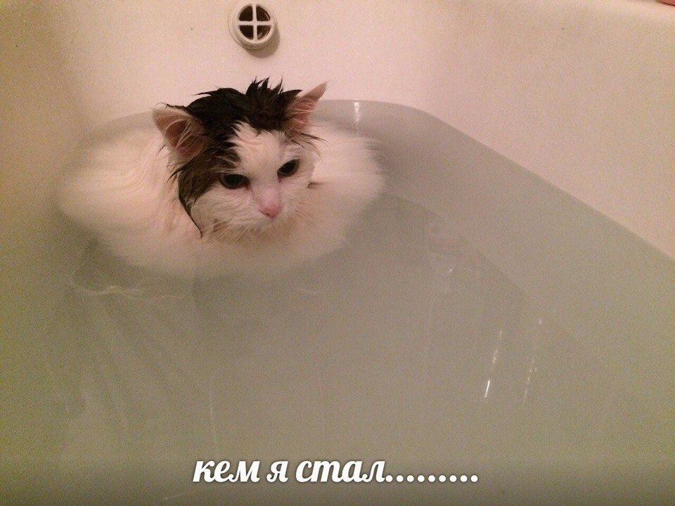 кем я стал