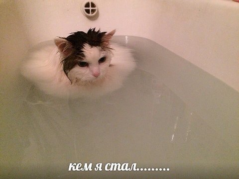 кем я стал