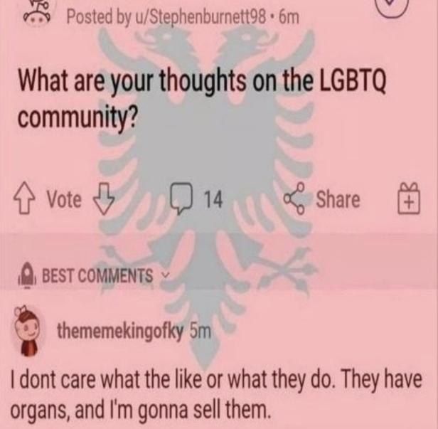 Posted u/Stephenburnett98 What are your thoughts on the LGBTQ community? Vote Share (0, BEST COMMENTS thememekingofky dont care what the like or what they They have organs, and gonna sell them.