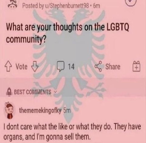 Posted u/Stephenburnett98 What are your thoughts on the LGBTQ community? Vote Share (0, BEST COMMENTS thememekingofky dont care what the like or what they They have organs, and gonna sell them.