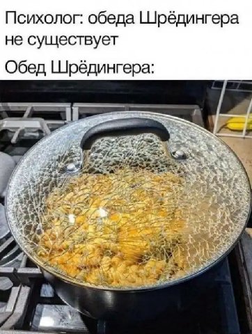 Психолог: обеда Шрёдингера не существует Обед Шредингера: 2