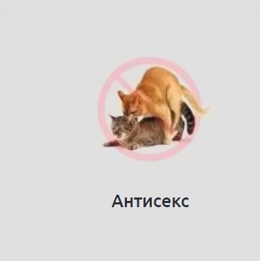 Антисекс
