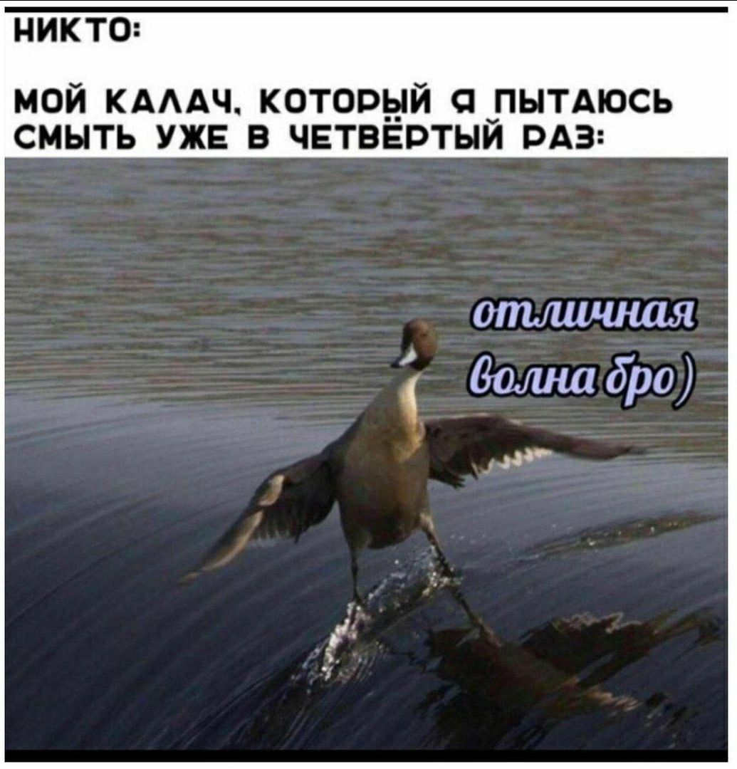 НИКТО: МОЙ КАЛАЧ. КОТОРЫЙ Я ПЫТАЮСЬ СМЫТЬ УЖЕ В ЧЕТВЁРТЫЙ РАЗ: отличная болна бро)