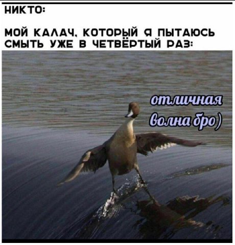 НИКТО: МОЙ КАЛАЧ. КОТОРЫЙ Я ПЫТАЮСЬ СМЫТЬ УЖЕ В ЧЕТВЁРТЫЙ РАЗ: отличная болна бро)