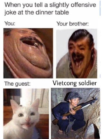 When you tell a slightly offensive joke at the dinner table You: Your brother: The guest: Vietcong soldier