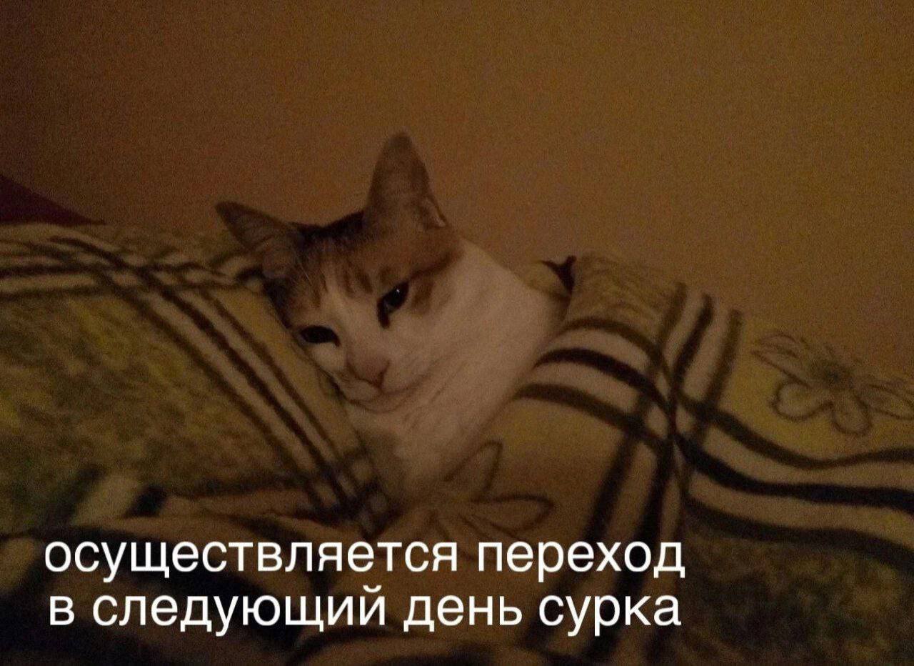 осуществляется переход в следующий день сурка