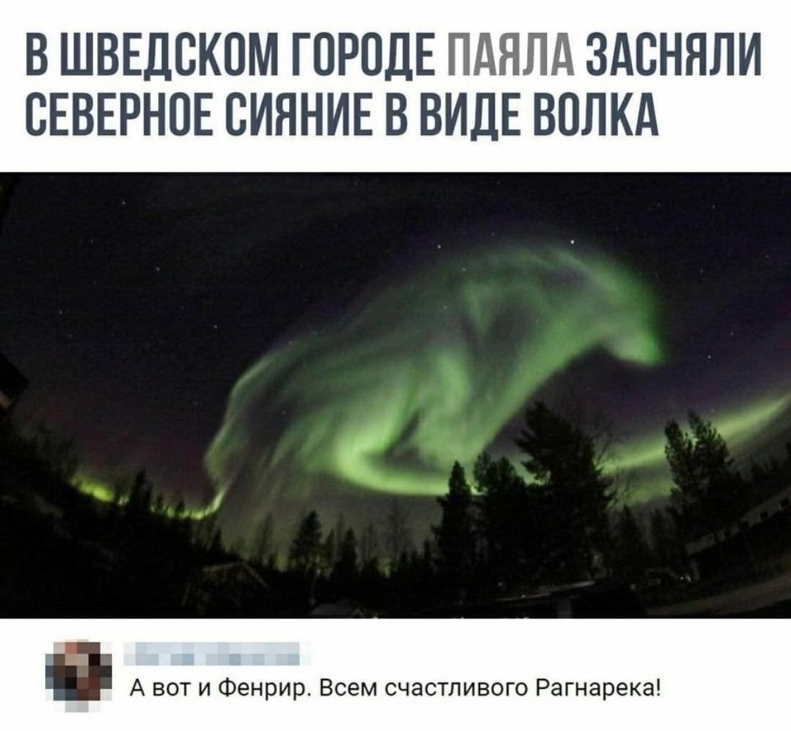 В ШВЕДСКОМ ГОРОДЕ ПАЯЛА ЗАСНЯЛИ СЕВЕРНОЕ СИЯНИЕ В ВИДЕ ВОЛКА А вот и Фенрир. Всем счастливого Рагнарека!